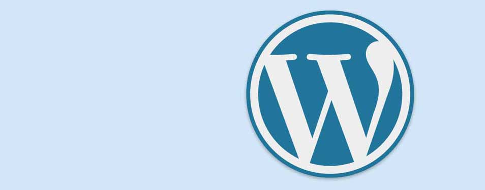 Website Design and Development